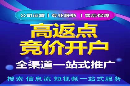 SEM运营策略案例分析